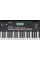 Synthesizer Roland E-X10