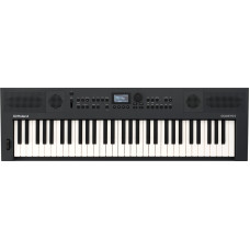 Синтезатор Roland GO:KEYS 5 (Graphite)