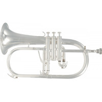 Флюгельгорн SML Paris BU600S