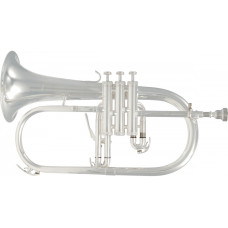 Флюгельгорн SML Paris BU600S