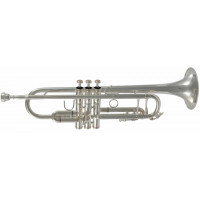 Trumpet SML Paris TP500S