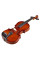 Скрипка Stentor 1542/C Graduate Violin Outfit (3/4)
