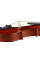 Скрипка Stentor 1542/C Graduate Violin Outfit (3/4)