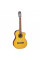 Classical Guitar With Pickup Takamine GC1CE NAT