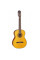 Классическая гитара Takamine GC3 NAT
