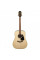 Acoustic Guitar Takamine GD51-NAT