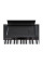 Digital Piano The ONE TOK1 (Black)