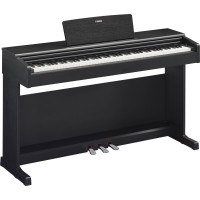 Цифровое пианино Yamaha ARIUS YDP-145 (Black)