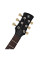 Електрогітара Yamaha Revstar Element RSE20 (Black)