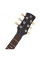 Електрогітара Yamaha Revstar Professional RSP20X (Rusty Brass Charcoal)