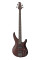 Bass Guitar Yamaha TRBX-504 (Translucent Brown)