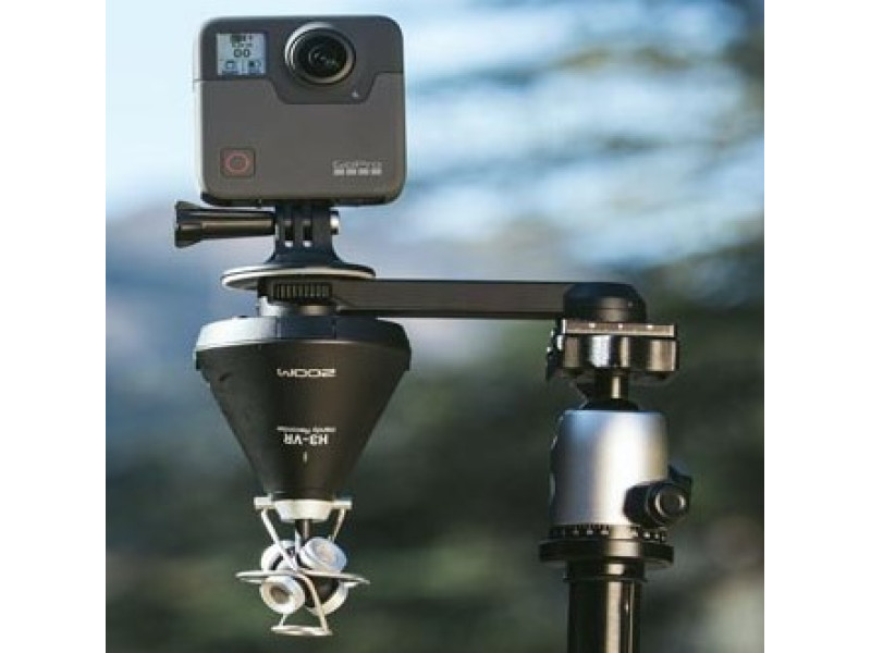 New arrivals by Zoom