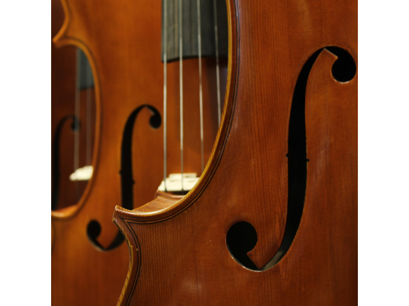 5 советов начинающим играть на струнных иструментах