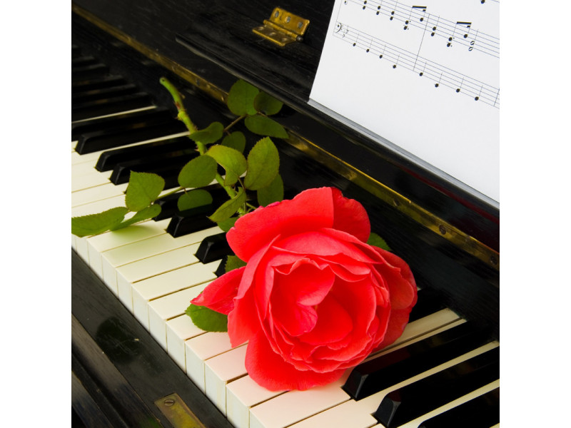 Поздравляем с Международным днем пианиста!