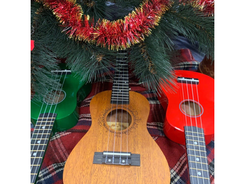 Что подарить гитаристу или басисту на Новый год