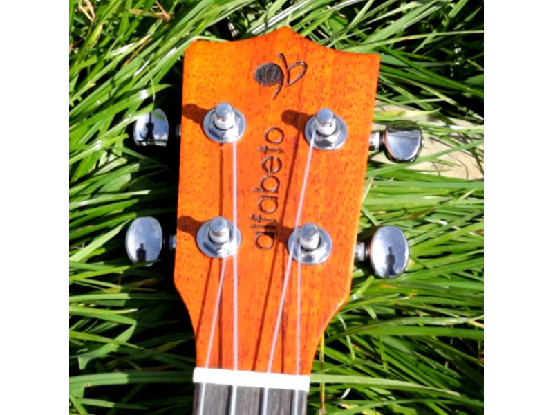 Обзор Alfabeto COLORED MAHOGANY CM23EQ от Артема Епанешникова