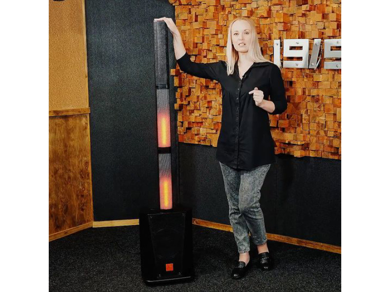 Обзор Maximum Acoustics Clubarray.350 от Надежды Бондарец