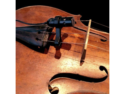 Мікрофон Prodipe VL21-C в руках великої скрипальки Лізи Кероб