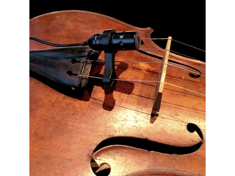 Микрофон Prodipe VL21-C в руках великой скрипачки Лизы Кероб