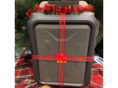 Maximum Acoustics MobiCUBE.60 is the best gift