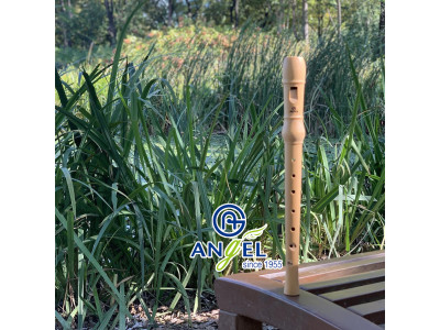 Recorders from the Korean company Angel