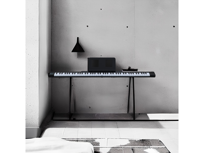 New arrival of Musicality - the most budget musical instruments