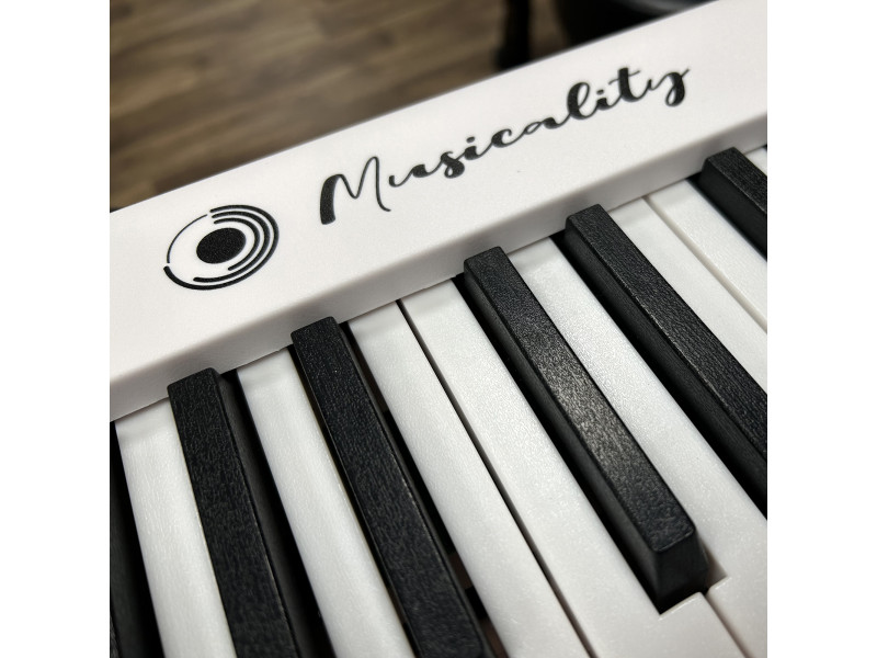 The most budget musical instruments - new arrival from Musicality