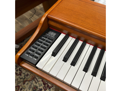 Нове надходження цифрових піаніно Alfabeto