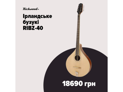 Ірландське бузукі RIBZ-40 від Richwood