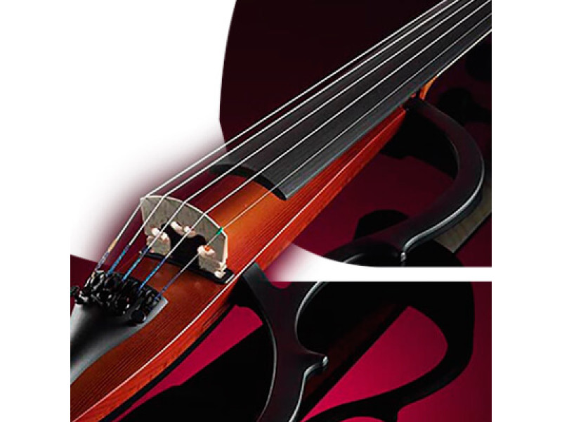 NB! Электроскрипки – открой мир нового звука