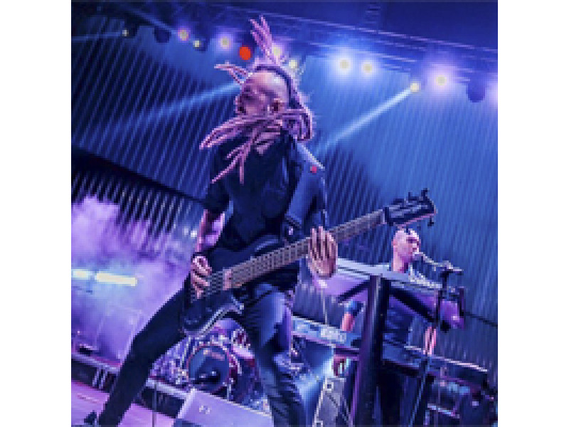 Bass guitarist of the band 