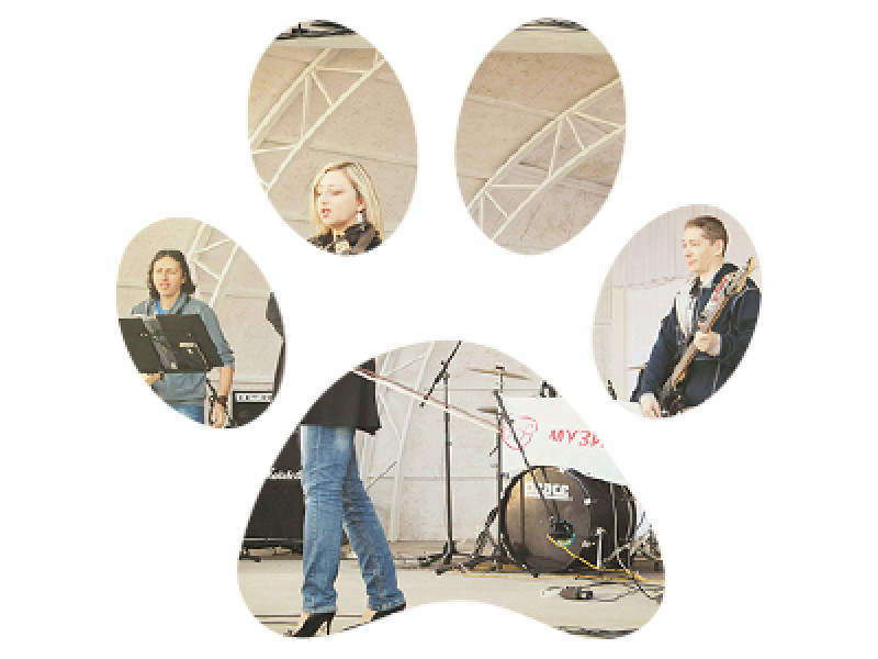 Одесса: DOG-Марафон, или Как это было?