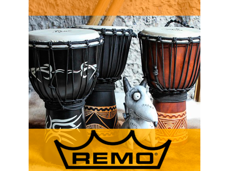 Remo – новий бренд у нашому Каталозі