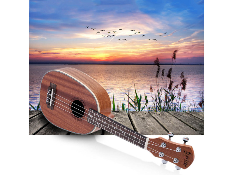 Укулеле от всемирно известных брендов