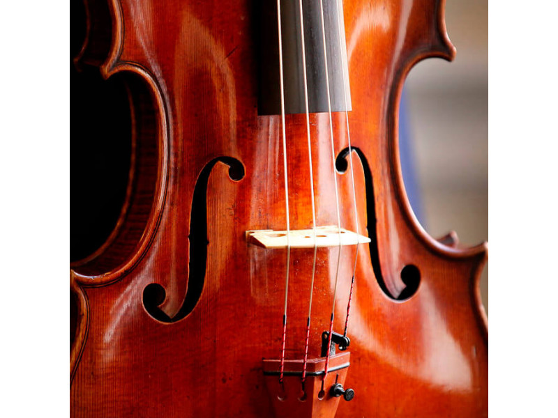 Скрипкові “махінації” — секрети звучання скрипки