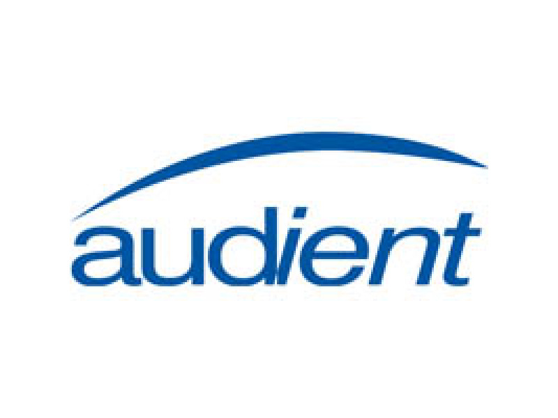 Новинка AUDIENT iD4