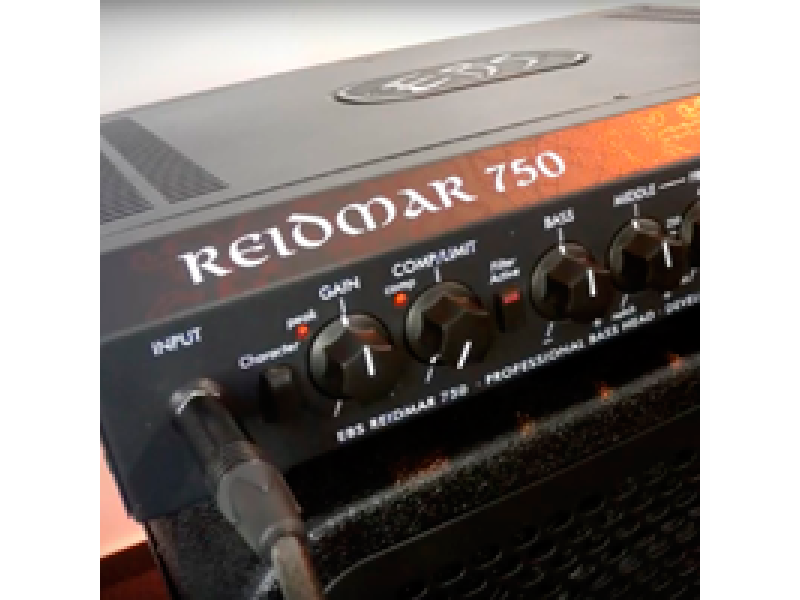 EBS Reidmar 750 head