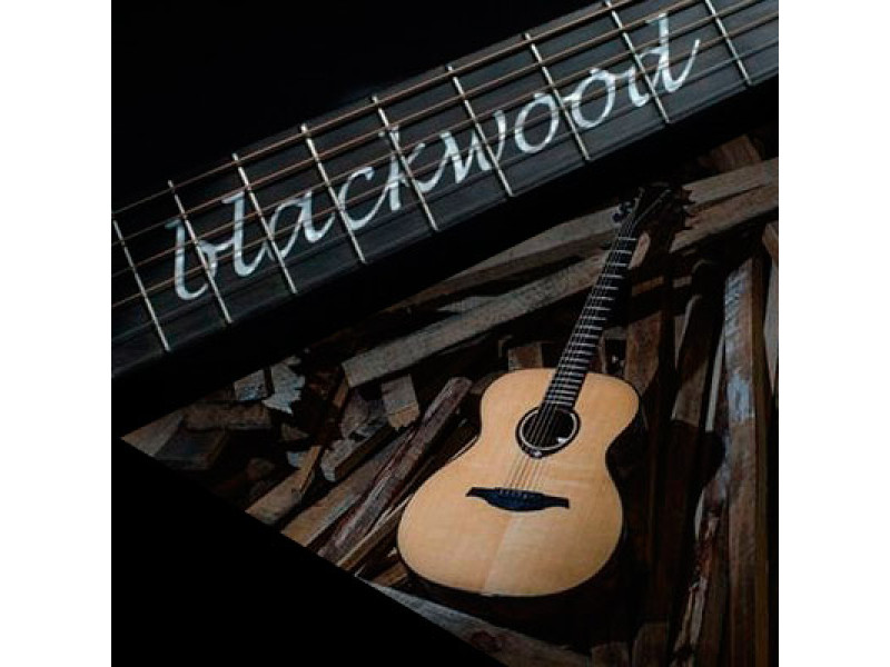 Brownwood & Blackwood: The Ecological Solution to the Rarefaction of Woods