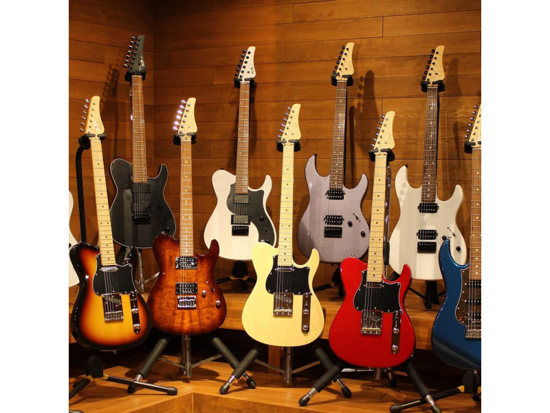 NB: Новое поступление - гитары Fujigen родом из Японии