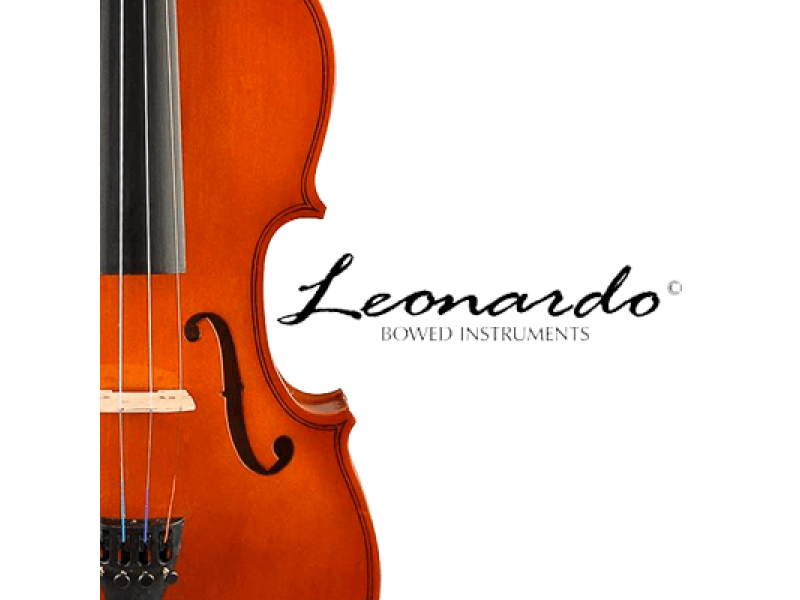 Топ-3 лучшие скрипки для начинающих: Leonardo