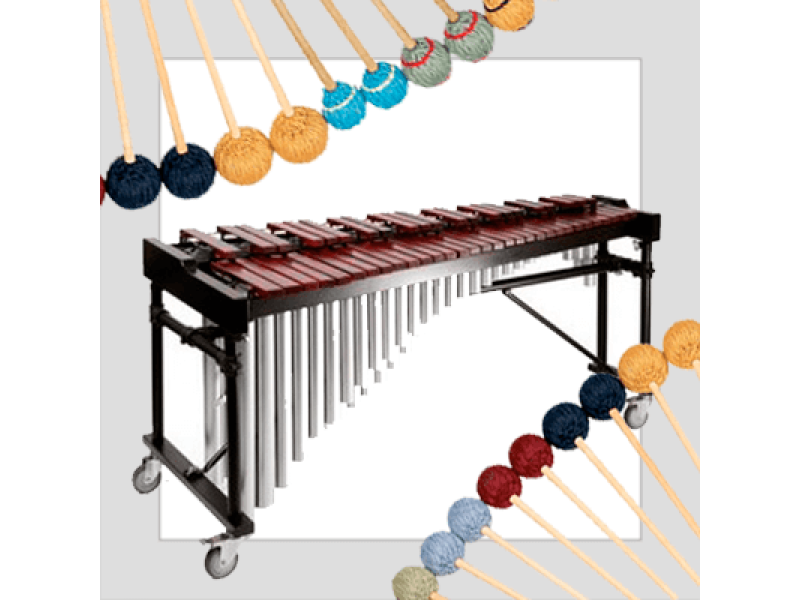 NB: Маримбы Premier