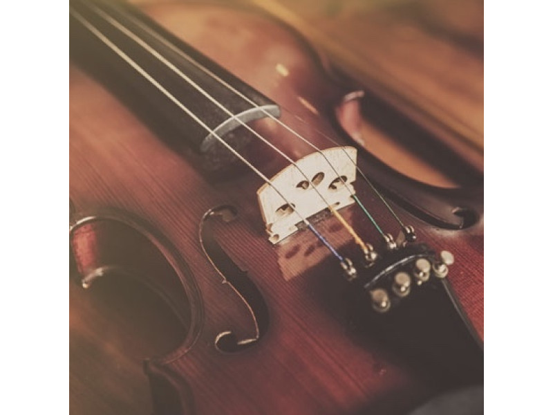 Скрипки Leonardo для будущих Вивальди