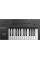 MIDI-клавіатура Native Instruments Komplete Kontrol A25