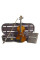 Скрипка Stentor 1542/E Graduate Violin Outfit (1/2)