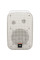 Passive Speakers JBL Control 1 Pro (White)