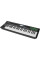 MIDI Keyboard Controller Nektar Panorama T4