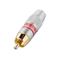 Тюльпан Bespeco MMRCAR