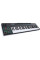 MIDI Keyboard Alesis VI61