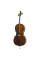 Віолончель Stentor 1108/A Student II Cello Outfit (4/4)