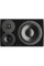 Студійний монітор Dynaudio LYD 48 Left (Black)